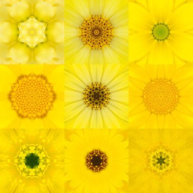 Dokuz sarı konsantrik çiçek Mandala Kaleidoscope topluluğu