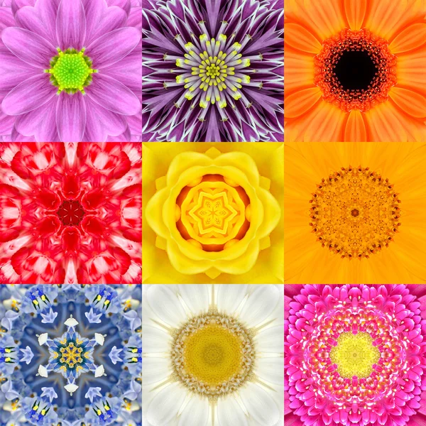 Samling som nio blomma Mandalas olika färger Kalejdoskop — Stockfoto