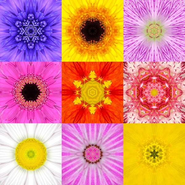 Samling som nio blomma Mandalas olika färger Kalejdoskop — Stockfoto