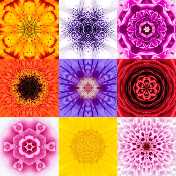 Samling som nio blomma Mandalas olika färger Kalejdoskop — Stockfoto