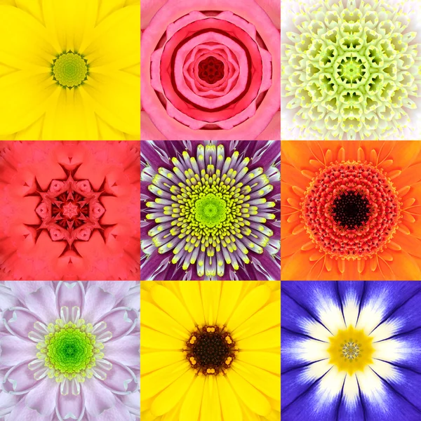 Samling som nio blomma Mandalas olika färger Kalejdoskop Royaltyfria Stockfoton