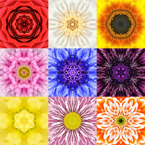 Samling som nio blomma Mandalas olika färger Kalejdoskop Stockbild