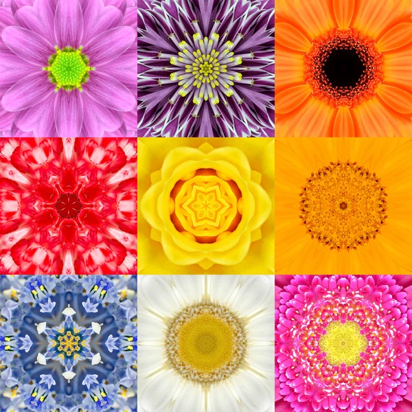 Colección Set Nueve Mandalas Flor Varios Colores Caleidoscopio Fotos de stock