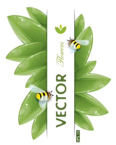 Groene bladeren ontwerp met vliegende bijen — Stockvector