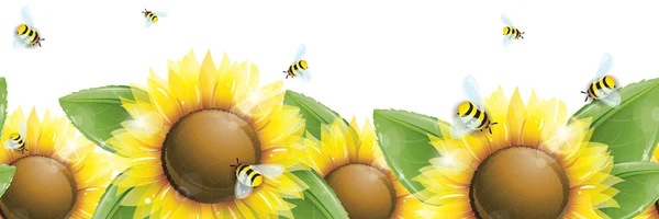 Horizontale naadloze patroon - prachtige zonnebloemen, groene bladeren en vliegende bijen geïsoleerd op wit — Stockvector
