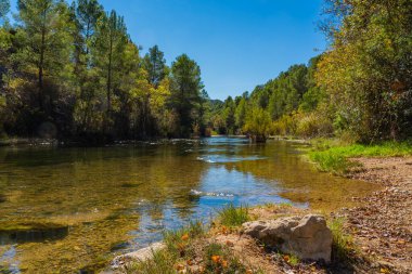 Cabriel Nehri kristal berrak sularla çevrili ve Albacete, İspanya dağlarında yeşil bitki örtüsüyle çevrili.