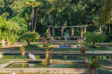 Maria Luisa 'nın parkındaki çeşmede yeşil papağanlar. Sevilla. Endülüs. İspanya