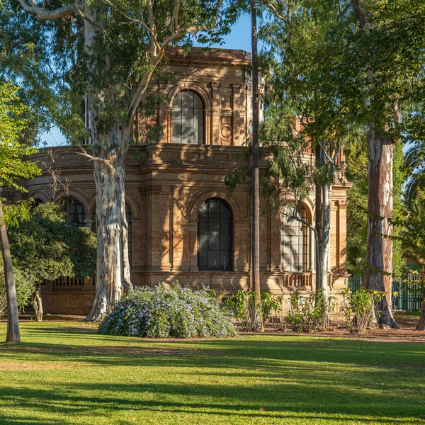 Parque Maria Luisa Знаменитий Громадський Парк Історичними Будівлями Севільї Уздовж — стокове фото