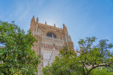 Detailsof the Cathedral of Saint Mary of the See in Seville, largest Gothic cathedral. Unesco Word Heritage Site.