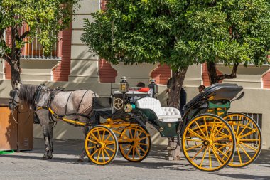 SEVILLE SPAIN, OCTOBER 17. 2020: Horse-drawn carriages for hire at the catedral of Seville, Seville, Andalusia, Spain