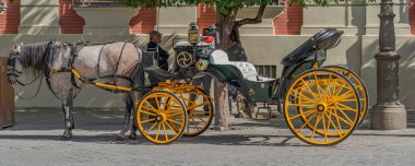 Horse-drawn carriages for hire at the catedral of Seville, Andalusia, Spain