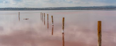 Wooden posts in the pink salt lake with reflection on water from clouds, Laguna Rosa, Torrevieja, panorama