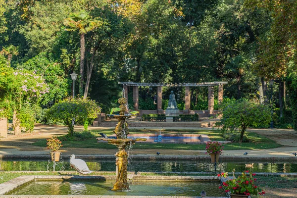 Pappagalli Verdi Alla Fontana Nel Parco Maria Luisa Siviglia Andalusia — Foto Stock