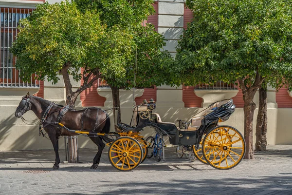 Horse Drawn Carriages Hire Catedral Seville Andalusia Spain —  Fotos de Stock