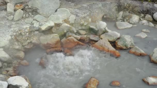 Hot Springs Boiling Water Caldeiras Das Furnas Azores Central Village — Stock Video