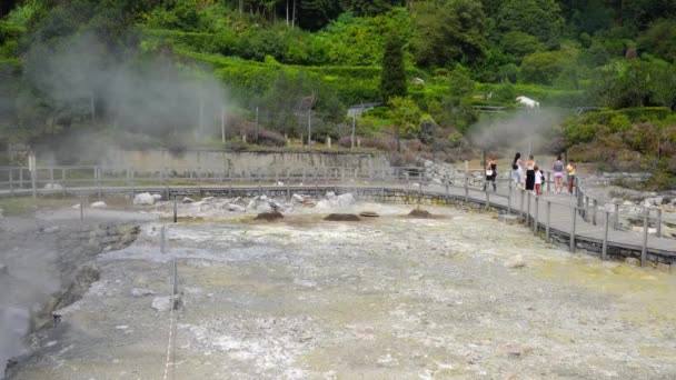 Furnas Azores Portugal Серпня 2020 Гарячі Джерела Кальдейрас Дас Фурнас — стокове відео