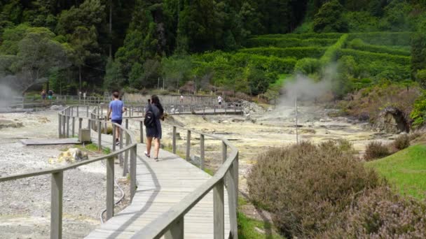 Furnas Azores Portugal Agosto 2020 Termas Caldeiras Das Furnas Paseos — Vídeos de Stock