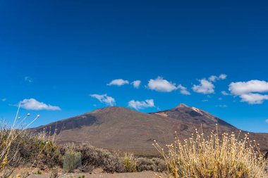 Teide Ulusal Parkı 'ndaki volkan ve lav manzarası Tenerife, Kanarya Adaları, İspanya' daki Rocky volkanik manzarası