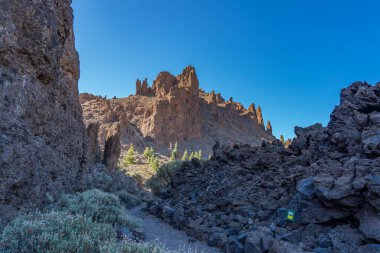 Teide Ulusal Parkı 'ndaki lav manzarası, Tenerife' deki Rocky volkanik manzarası, Kanarya Adaları, İspanya