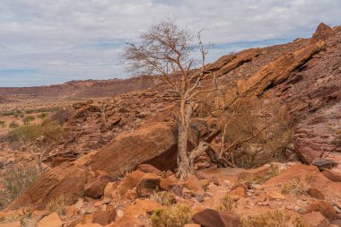 Twyfelfontein, Namibya 'daki tarih öncesi Bushman tablolarında ağaç ve kayalarla manzara, 