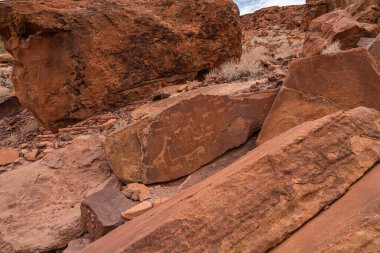 Tarih öncesi Bushman gravürleri, Twyfelfontein, Namibya 'da kaya resimleri, Afrika' nın hayvanlarını taşa boyamış, Damaraland Buschmann tabloları.