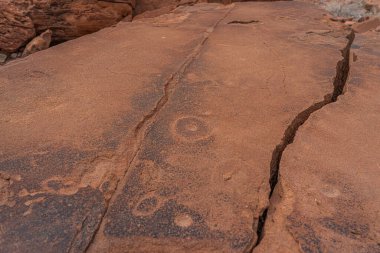 Tarih öncesi Bushman gravürleri, Twyfelfontein, Namibya 'da kaya resimleri, Afrika' nın hayvanlarını taşa boyamış, Damaraland Buschmann tabloları.