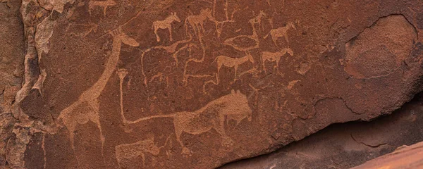 Prehistoric Bushman engravings, rock paintings at Twyfelfontein, Namibia, painted animals of Africa on stone, Damaraland  Buschmann paintings