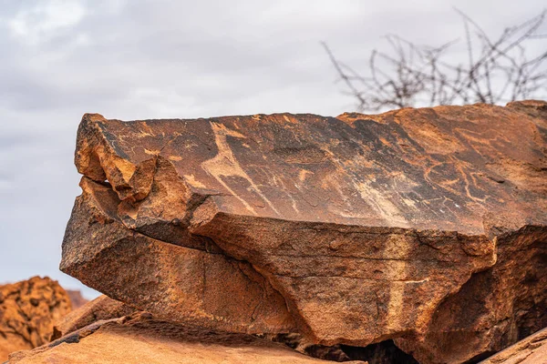 Prehistoric Bushman engravings, rock paintings at Twyfelfontein, Namibia, painted animals of Africa on stone, Damaraland  Buschmann paintings