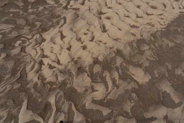 Dalgalanmış altın rengi çöl kum dokusu, Sossusvlei 'nin arka planı.