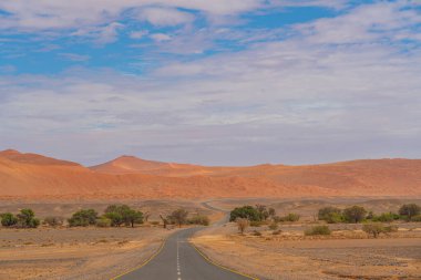 Deadvlei Sossusvlei caddesi büyük kumullarla çevrili. Kırmızı kum. Panoramik manzara. Namibya