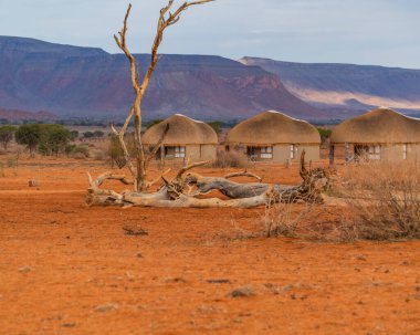 NAMIB NAUKLUFT Parkı, NAMIBIA - Ocak 06. 2021: Biz Kebi Safari Locası - bir su birikintisindeki ölü ağaç, Namib Naukluft Ulusal Parkı 'ndaki sazdan çatı evi