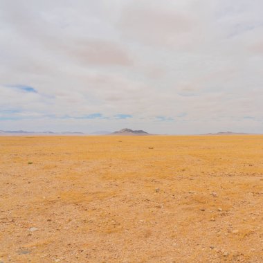 Namibya 'daki Namib Çölü' ndeki çöl manzarası yaz boyunca bulutlarla doludur.