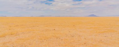 Namibya 'daki Namib Çölü' ndeki çöl manzarası yaz boyunca bulutlarla doludur.