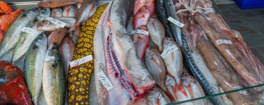 Sebastes ve diğer balıklar balık pazarında tezgahın üzerinde, Ponta Delgada, Azores, Portekiz