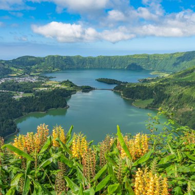 Miradouro da Boca do Inferno sarı çiçekleri, arka planda Sete Cidades gölleri Azores, Portekiz 'de Sao Miguel adasında, dikey