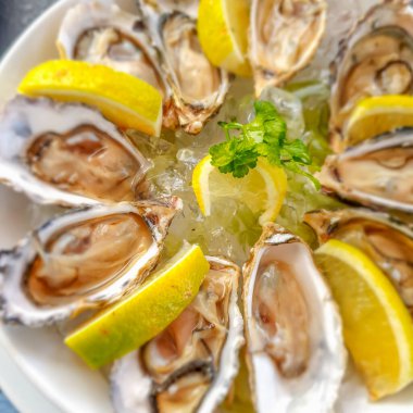 Birçok açık istiridyeyi bir tabakta yakın, limon ve buzla üst manzara