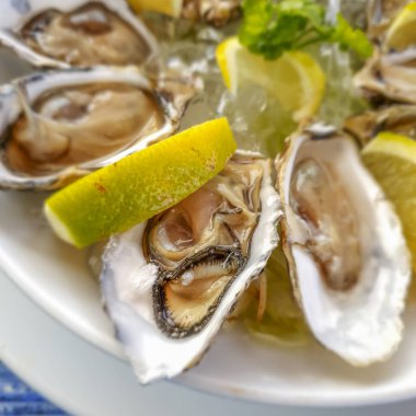 Birçok açık istiridyeyi bir tabakta yakın, limon ve buzla üst manzara