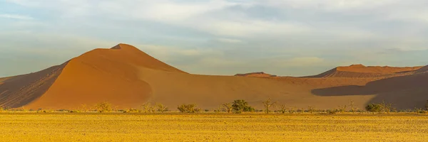 Panorama Namib Desert Landscape Large Sand Dune Sossusvlei Namibia — Stock Photo, Image