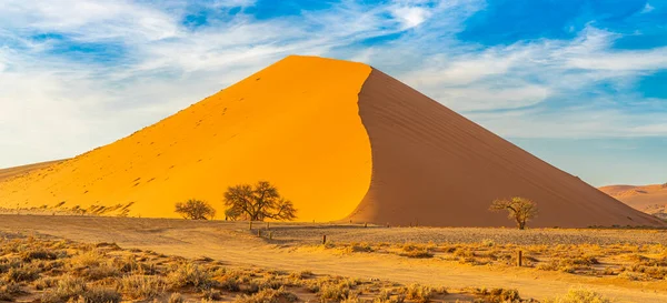 Panorama Large Sand Dune Sossusvlei Sunrise Trees Background Beautiful Blue — Stock Photo, Image