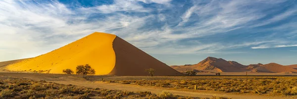 Panorama Large Sand Dunes Dune Sossusvlei Sunrise Trees Background Beautiful — Stock Photo, Image