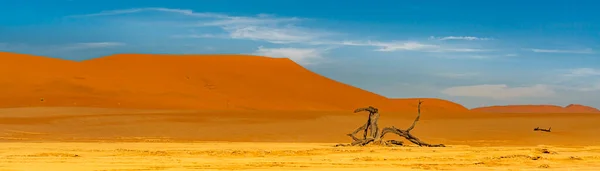Panorama Vista Espinho Camelo Morto Quebrado Deitado Deadvlei Paisagem Com — Fotografia de Stock