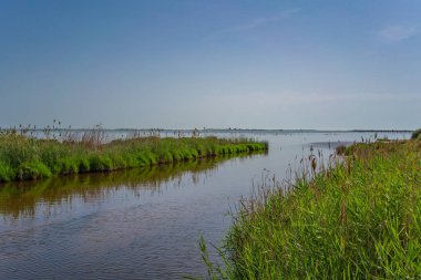 Tarragona Bölgesi 'ndeki Ebro Delta' daki pirinç tarlalarından geçen su kanalı. İspanya