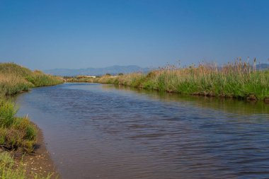 Tarragona Bölgesi 'ndeki Ebro Delta' daki pirinç tarlalarından geçen su kanalı. İspanya