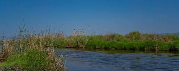 Canal Água Através Dos Campos Arroz Delta Ebro Região Tarragona — Fotografia de Stock