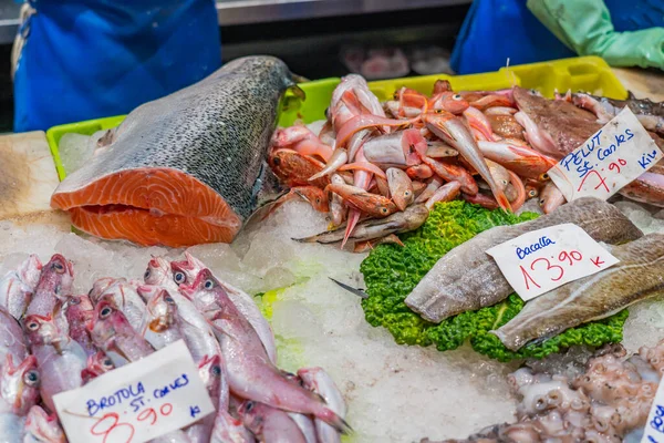 Peixes e outros frutos do mar num balcão à venda num mercado espanhol — Fotografia de Stock