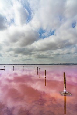 Torrevieja Pembe Gölü, Natural Park de Las Lagunas de La Mata e Torrevieja, Alicante ili, İspanya. dikey