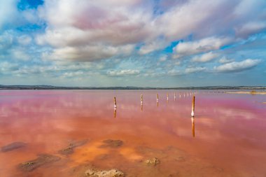 Torrevieja Pembe Gölü, Natural Park de Las Lagunas de La Mata e Torrevieja, Alicante ili, İspanya.
