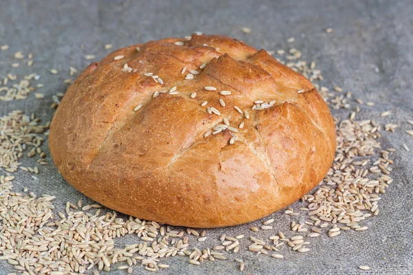 White bread and grains of wheat — Stock Photo, Image