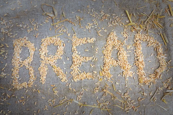 Bread and wheat — Stock Photo, Image