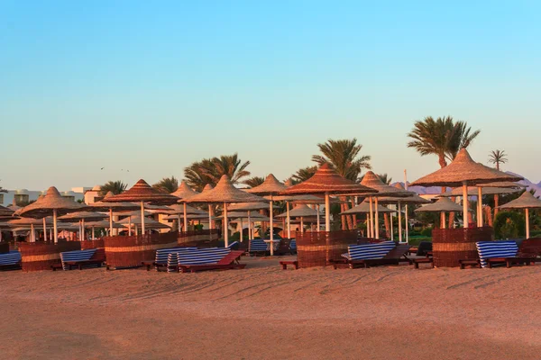 Parasols and sunbeds on the Red Sea — Stock Photo, Image